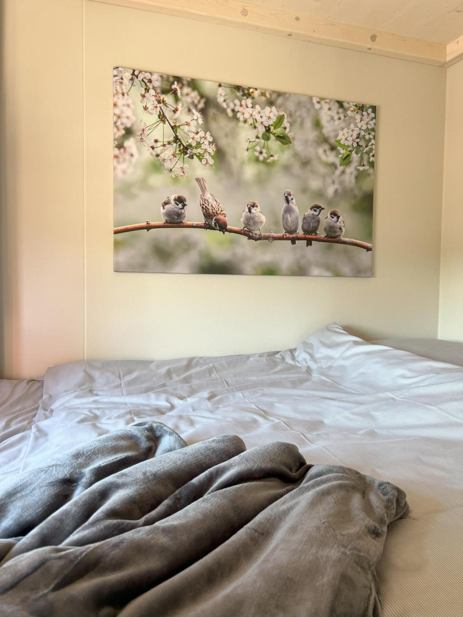 Tiny Haus Park Fritzlar Villa ภายนอก รูปภาพ